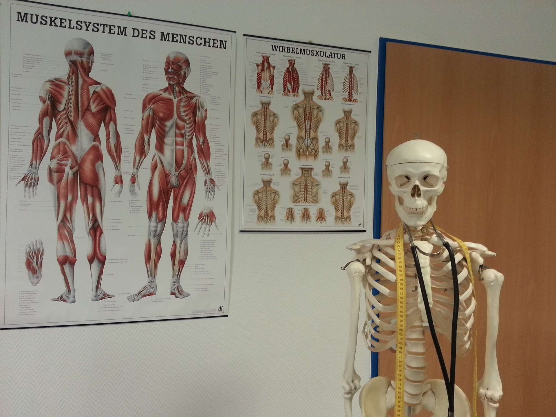 chiropractor