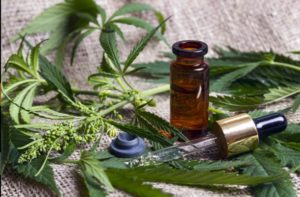 hemp extract